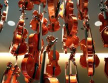 Many violins in the air -  Musical instruments