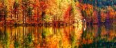 Beautiful Autumn Landscape - Lake and forest