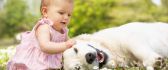 Cute little girl in pink dress plays with a white dog