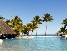 Many green palms on beach - Fiji island