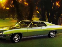Green Ford Torino 500 on field under trees