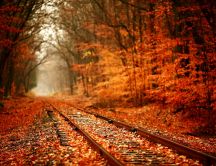 Train tracks through the woods filled with autumn leaves