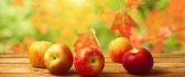 Delicious red apples - Autumn season