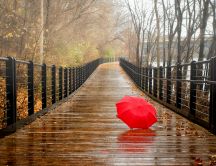 Red umbrella on a wet wood bridge