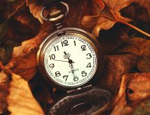 Old pocket watch and autumn leaves