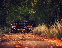 Wonderful black porsche on the road full with autumn leaves