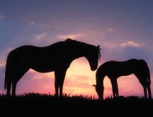 Two horses in grass in the purple sunset