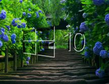 Windows 10 logo on a alley with many blue flowers