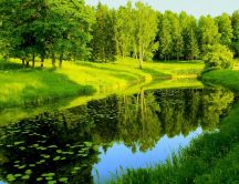 Wonderful green park - Landscape of nature