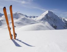 Orange skis in the snow - winter landscape