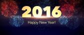 Special year 2016 - fireworks and happiness
