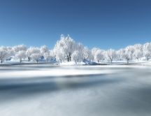 Skating on the lake - white winter wallpaper