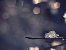 Cube of ice in the winter sunlight - macro HD wallpaper