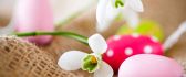 Snowdrops and colourful eggs - Happy Easter Holiday