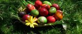 Painted eggs in a basket on the grass - Happy Easter Holiday