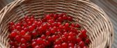Delicious red currants in a basket - Vitamins