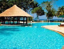 Wonderful resort for a perfect summer holiday-pool and palms