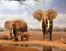Big wild animals from Africa - The elephants
