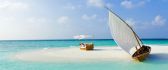 Private beach on a small island in Maldive - HD wallpaper