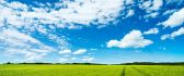 Beautiful green field and blue sky - HD wallpaper