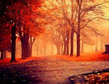 Red Autumn light in the park - HD wallpaper