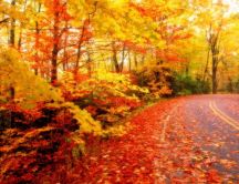 Autumn leaves on the road - HD wallpaper