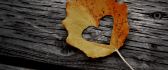 Heart in an Autumn leaf - wonderful HD wallpaper