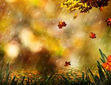 Wonderful rain in the Autumn season - Painting