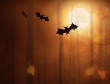 Bat in the light of moon - Happy Halloween night