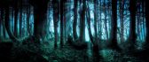 Walk in the dark forest - Happy Halloween night