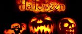 Scary pumpkins and bat - Happy Halloween night
