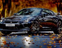 Nissan Skyline GT-R - wonderful black car and Autumn season
