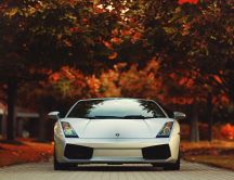 White Lamborghini in the park - Wonderful Autumn season