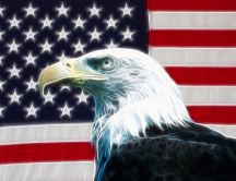 Eagle and USA flag - Wonderful wild bird