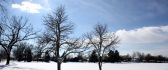 Sunny winter day - white field