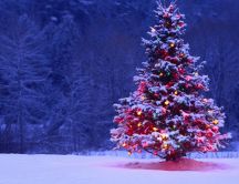 White Christmas tree - Wonderful lights