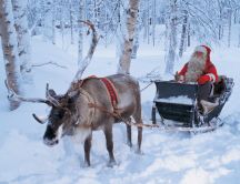 Real Santa Claus and his reindeer in the white forest
