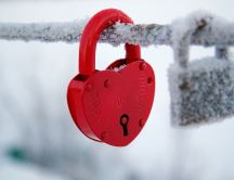 Red lock on a frozen bar - Cold winter season