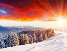 Wonderful golden sun in the cold winter season