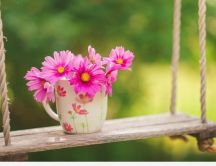 Pink bouquet flowers in a cup of coffee - HD wallpaper