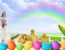 Rabbit and little ducks at Easter Holiday - Coloured eggs