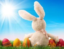 Fluffy rabbit and coloured Easter eggs - Happy Holiday