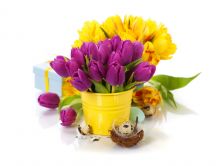 Wonderful bouquet of purple and yellow tulips