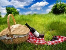 Good wine at the perfect picnic this spring