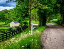 Country road through the green forest - Spring holiday