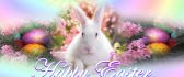 Happy Easter 2017 - White rabbit and coloured eggs