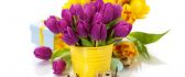 Wonderful bouquet of purple and yellow tulips