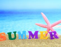 Summer starfish at the beach - Hot holiday at seaside