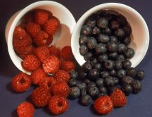Delicious raspberries and blueberries in white cups