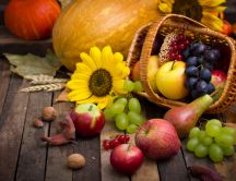 Basket full with delicious Autumn fruits-apples pears grapes